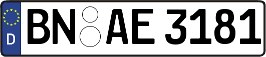 BN-AE3181