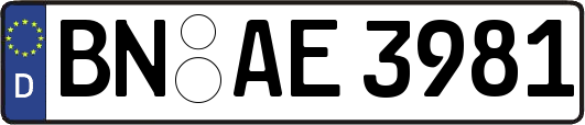 BN-AE3981