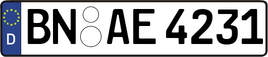 BN-AE4231