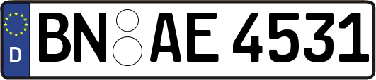 BN-AE4531