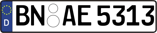 BN-AE5313