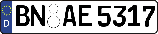BN-AE5317