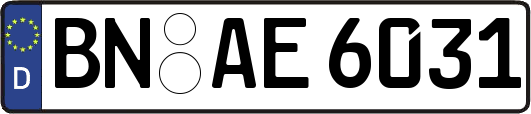 BN-AE6031