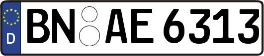 BN-AE6313