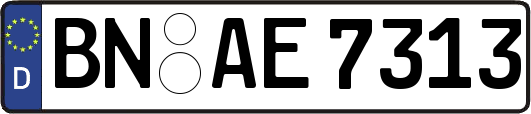 BN-AE7313