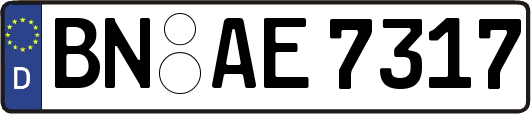 BN-AE7317