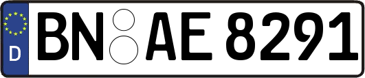 BN-AE8291