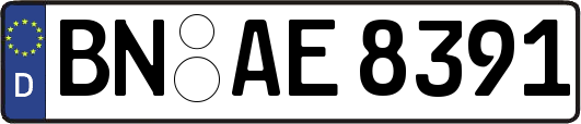 BN-AE8391