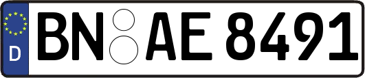 BN-AE8491