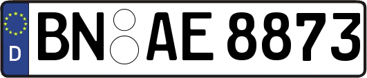 BN-AE8873