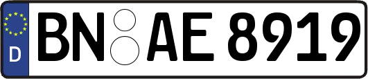 BN-AE8919