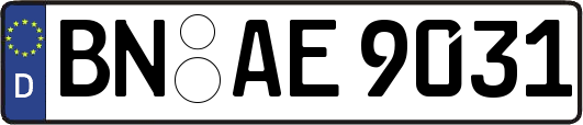 BN-AE9031