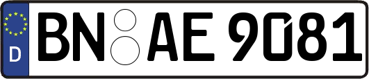 BN-AE9081