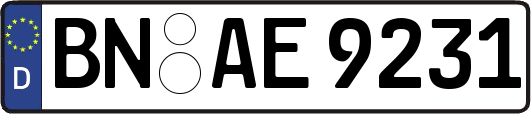 BN-AE9231