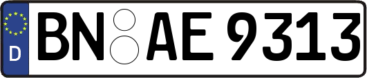 BN-AE9313