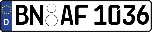 BN-AF1036