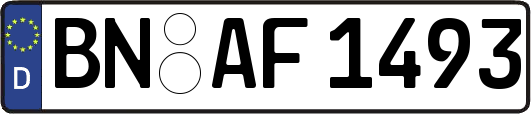 BN-AF1493
