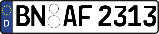 BN-AF2313
