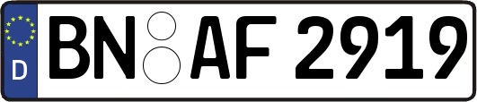 BN-AF2919