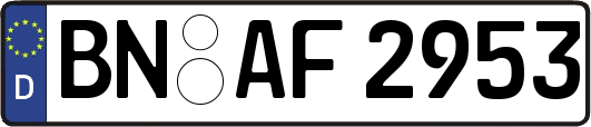 BN-AF2953