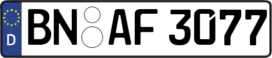 BN-AF3077