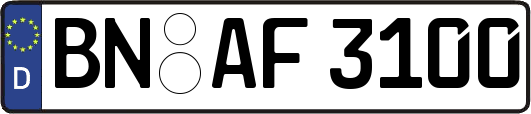 BN-AF3100