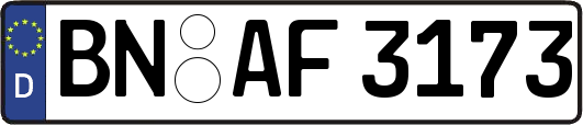 BN-AF3173