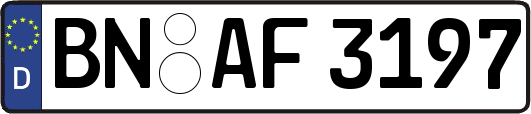 BN-AF3197