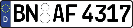 BN-AF4317