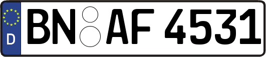 BN-AF4531