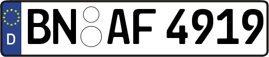 BN-AF4919