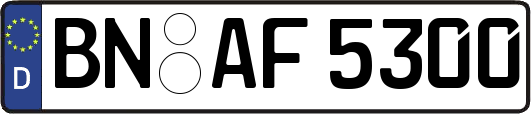 BN-AF5300
