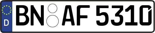 BN-AF5310