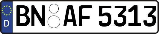 BN-AF5313