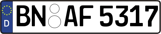 BN-AF5317