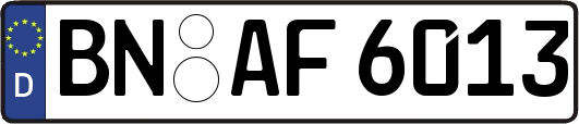 BN-AF6013