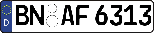 BN-AF6313