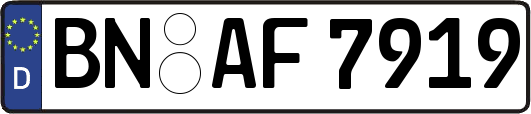 BN-AF7919