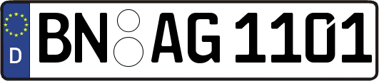 BN-AG1101