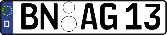 BN-AG13