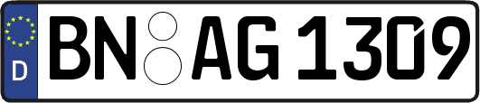 BN-AG1309