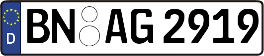 BN-AG2919