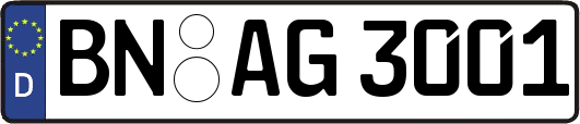 BN-AG3001