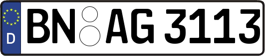 BN-AG3113