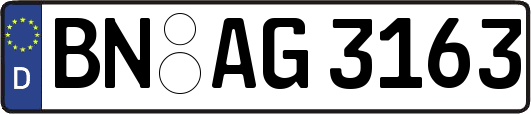 BN-AG3163