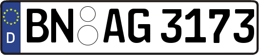 BN-AG3173