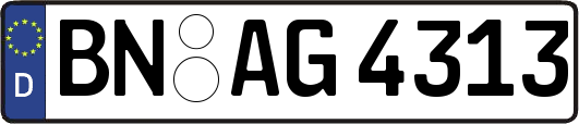 BN-AG4313