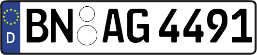 BN-AG4491