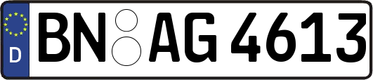 BN-AG4613