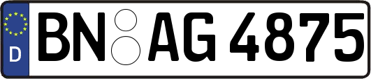 BN-AG4875